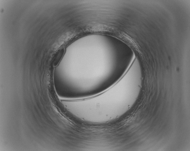 X0000061730732200512021015
