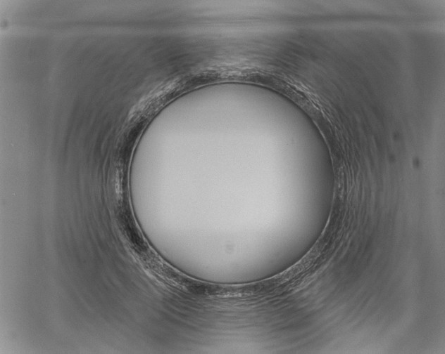 X0000061730740200512021015