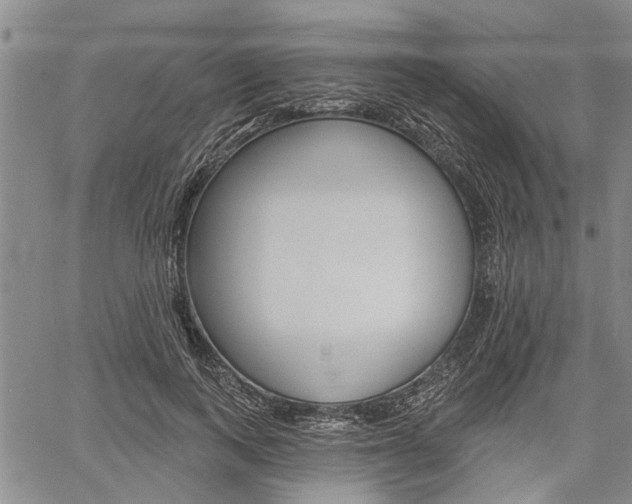 X0000061730743200512021015