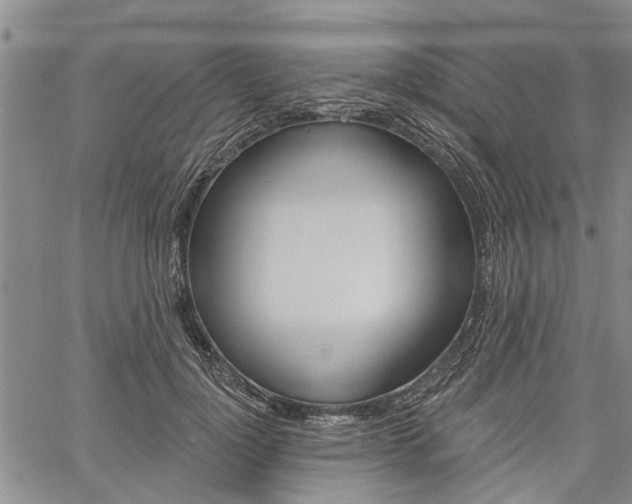 X0000061730748200512021015