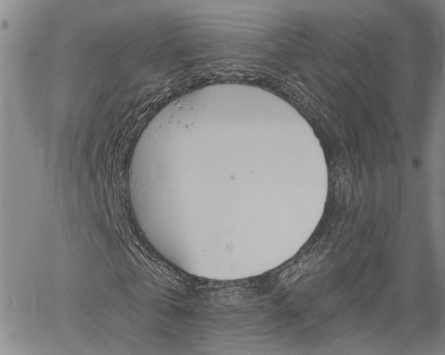 X0000061730769200512021015