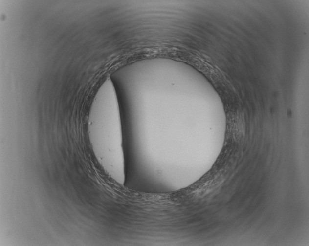 X0000061730770200512021015