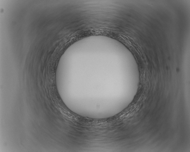 X0000061730865200512021013