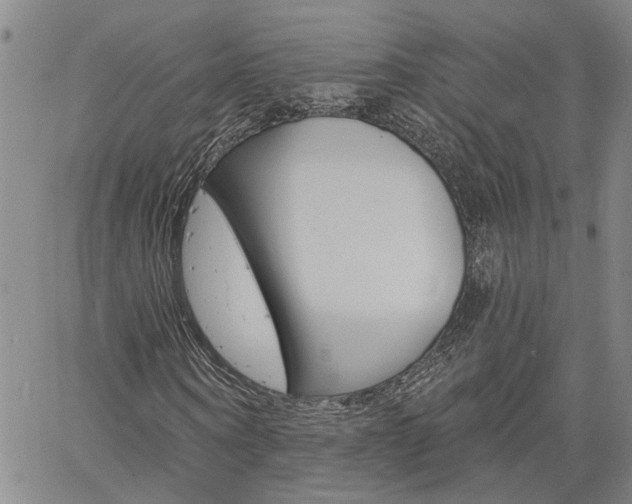 X0000061730866200512021013