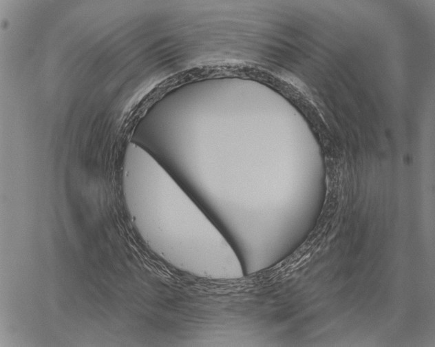 X0000061730871200512021013