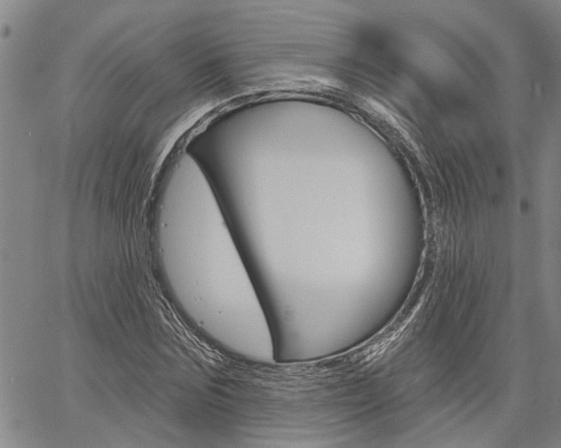 X0000061730875200512021013