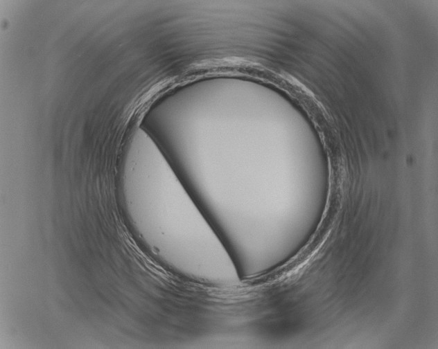 X0000061730921200512021012