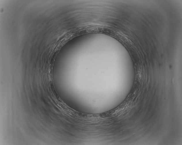 X0000061730964200512021012