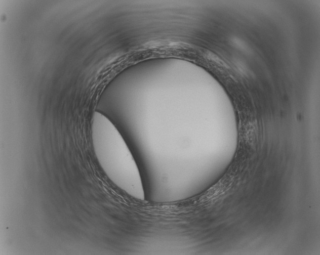 X0000061730966200512021012