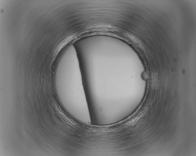 X0000061730970200512021011