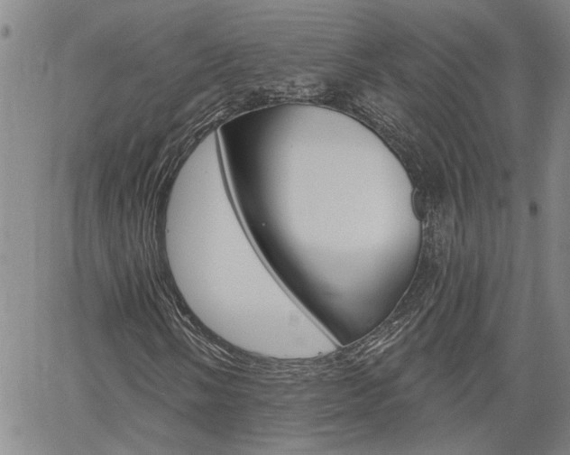 X0000061731058200512021010