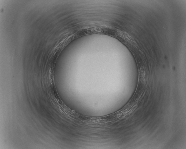 X0000061731060200512021010
