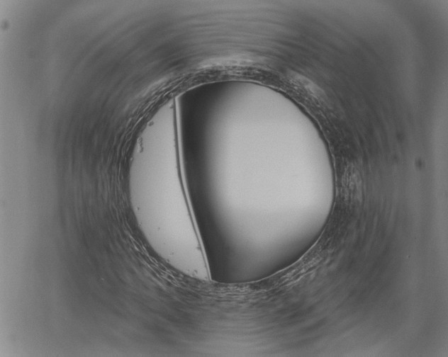 X0000061731062200512021010