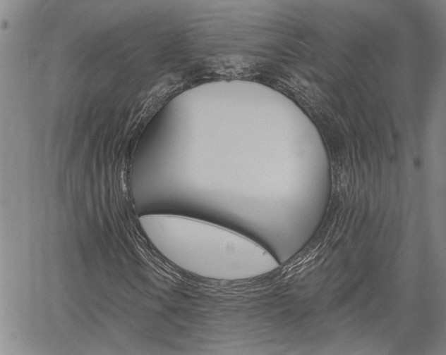 X0000061731106200512021009