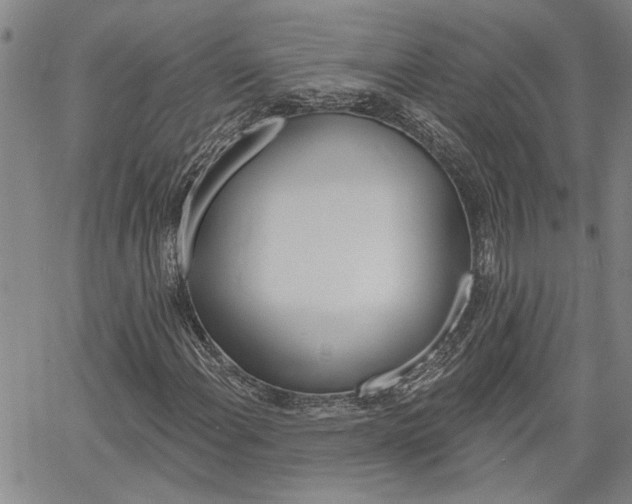 X0000061731108200512021009