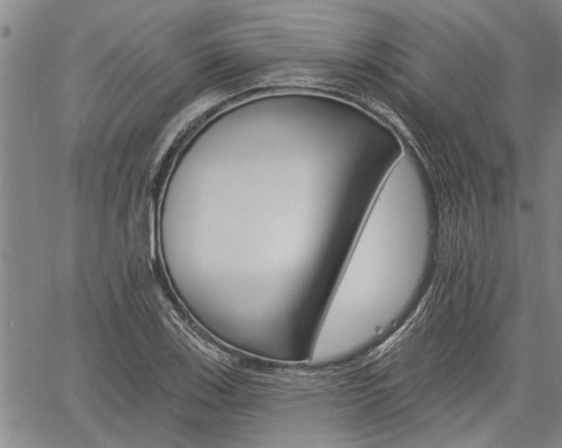 X0000061731123200512021009