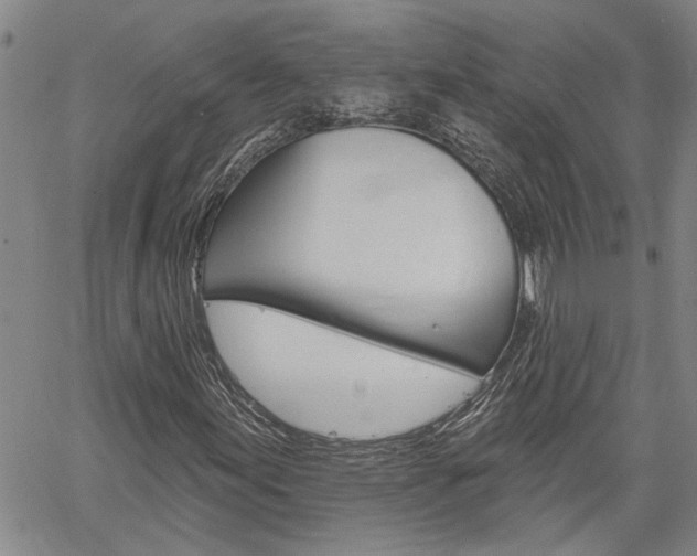X0000061731155200512021008