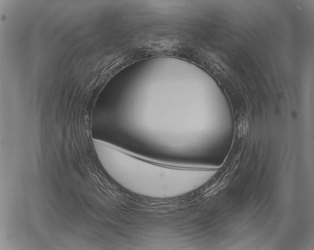 X0000061731156200512021008