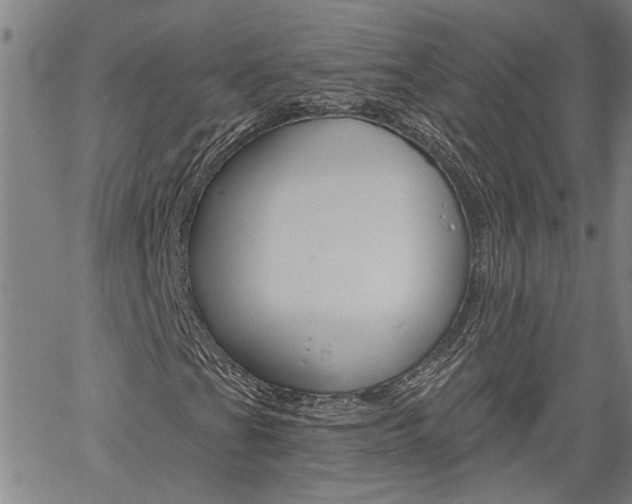 X0000061731201200512021007