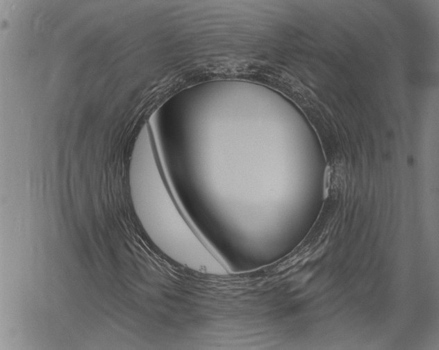 X0000061731202200512021007
