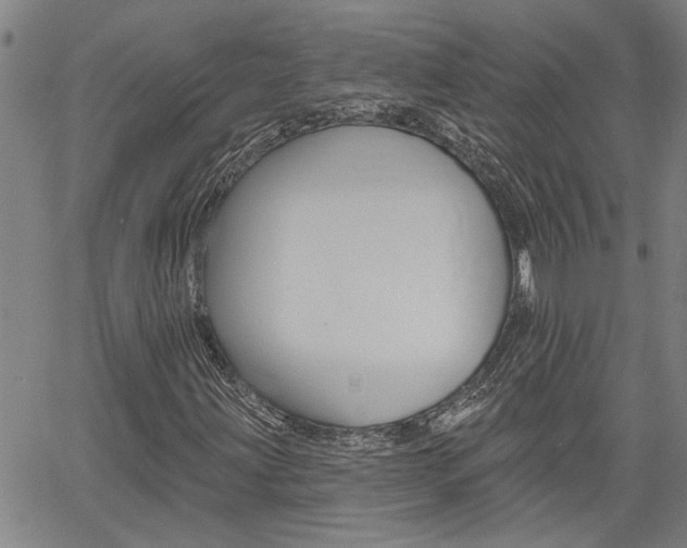 X0000061731203200512021007