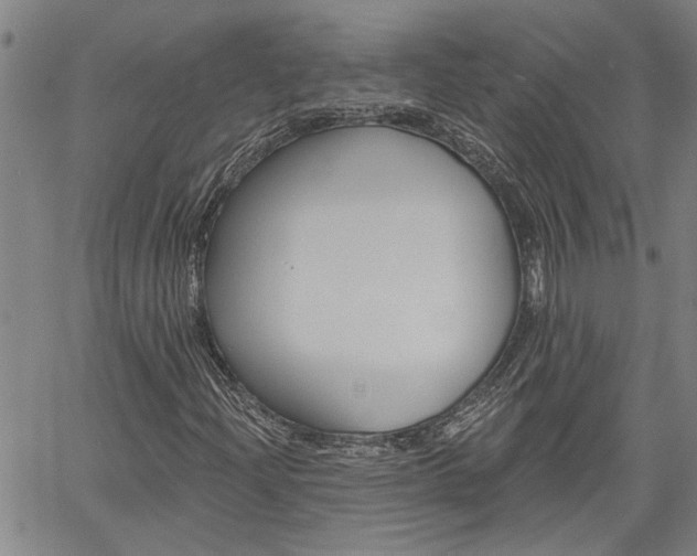 X0000061731204200512021007