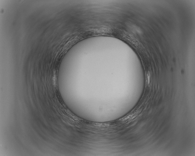 X0000061731251200512021007