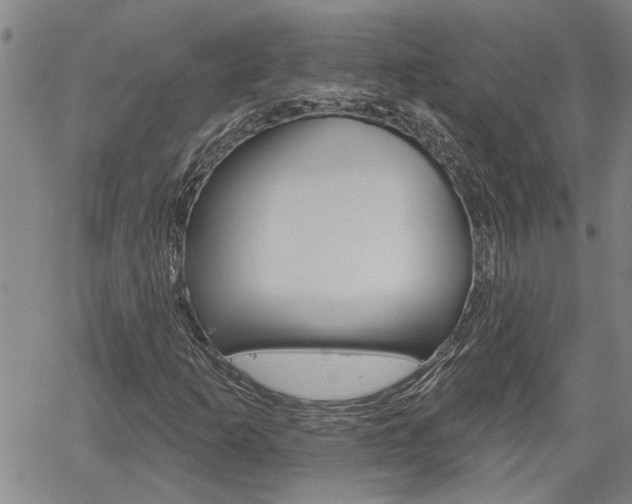 X0000061731253200512021007