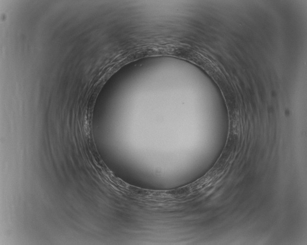 X0000061731298200512021005