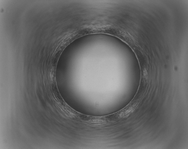 X0000061731300200512021005