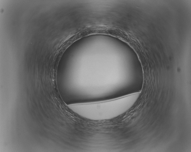 X0000061731301200512021005