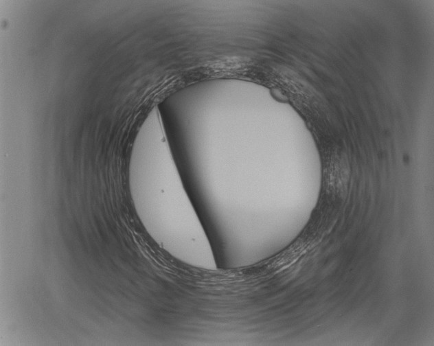X0000061731346200512021005