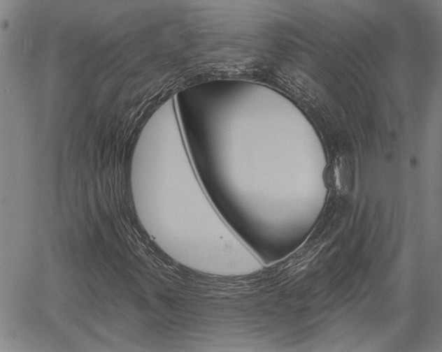 X0000061731347200512021005