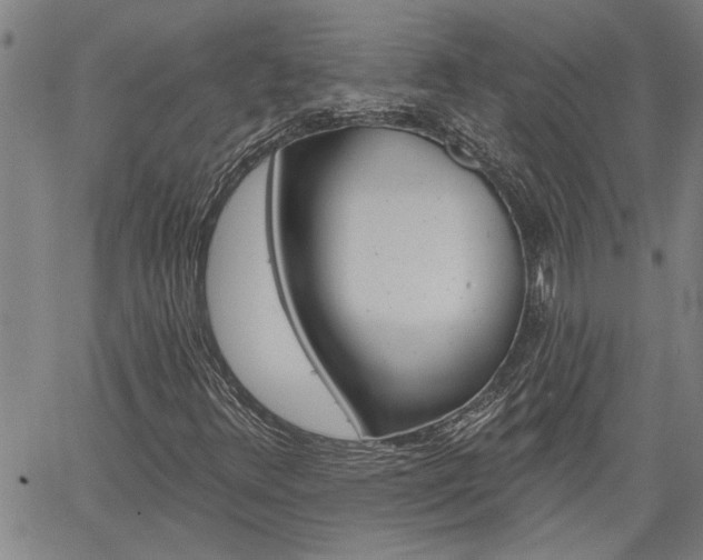 X0000061731348200512021005