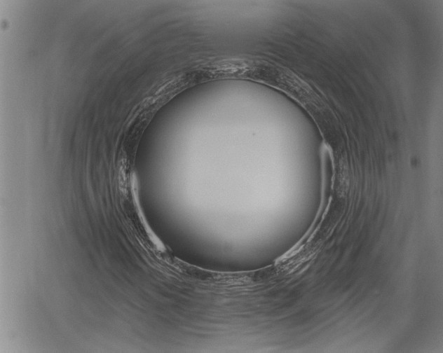 X0000061731394200512021004