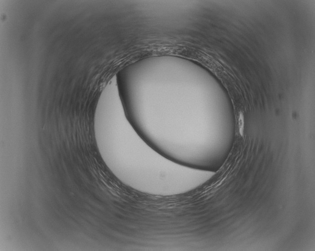 X0000061731395200512021004