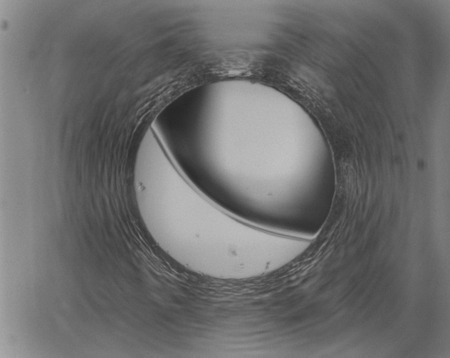 X0000061731442200512021004