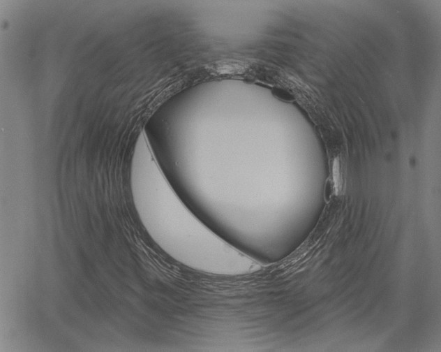 X0000061731443200512021004
