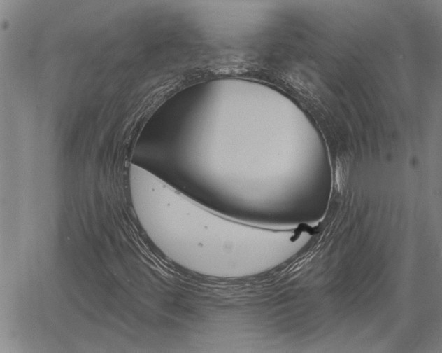 X0000061731444200512021004