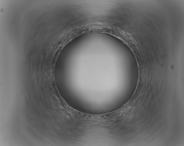 X0000061731445200512021004