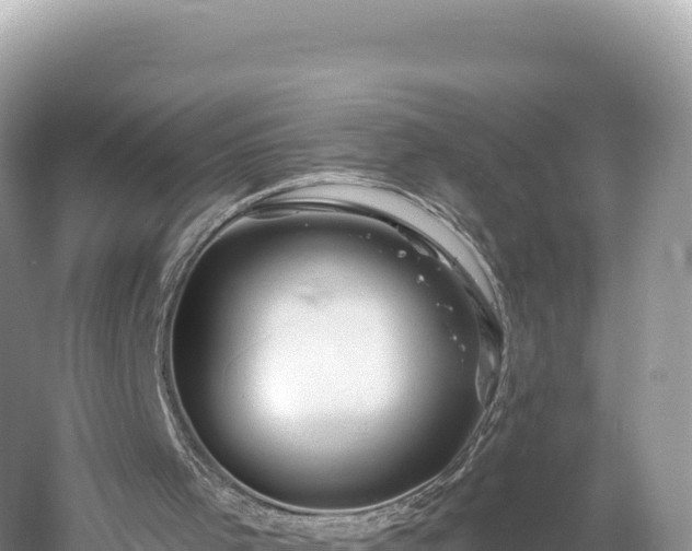 X0000061730001200512050946