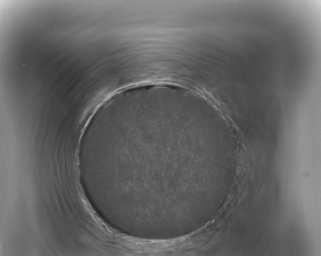 X0000061730002200512050946