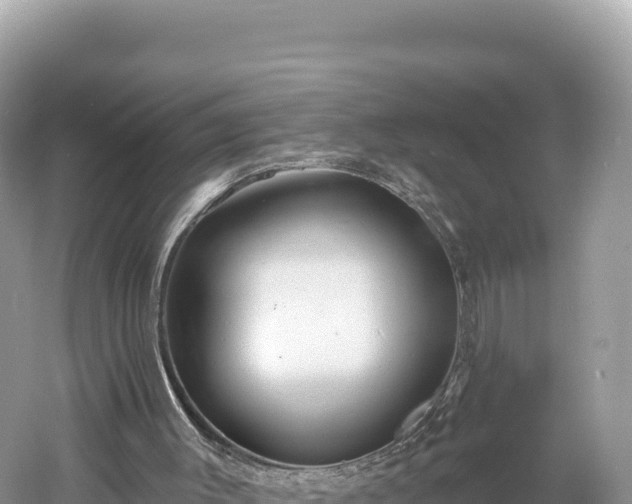 X0000061730003200512050946