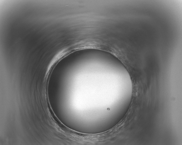 X0000061730004200512050946