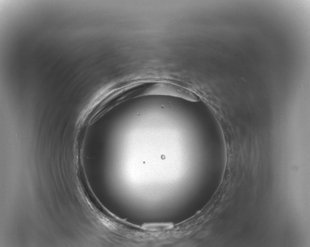 X0000061730005200512050946