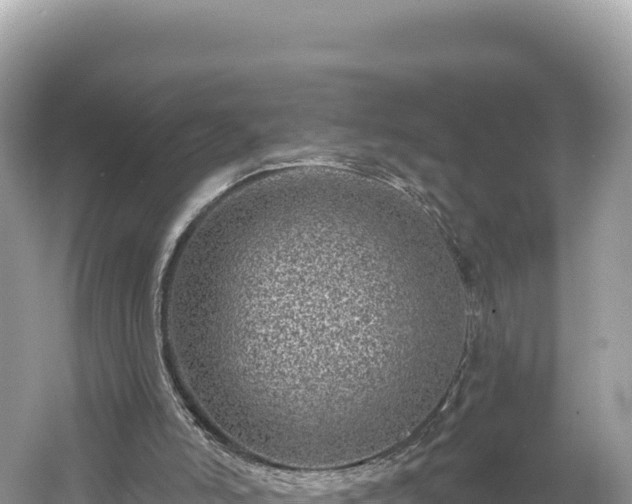 X0000061730006200512050946