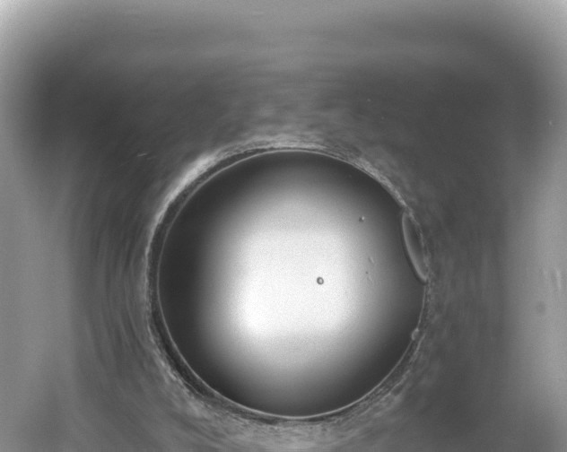 X0000061730008200512050946