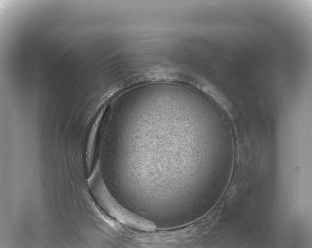 X0000061730009200512050946