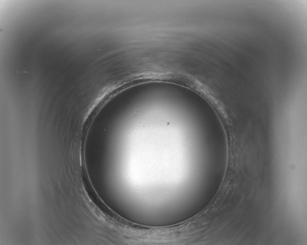 X0000061730011200512050946