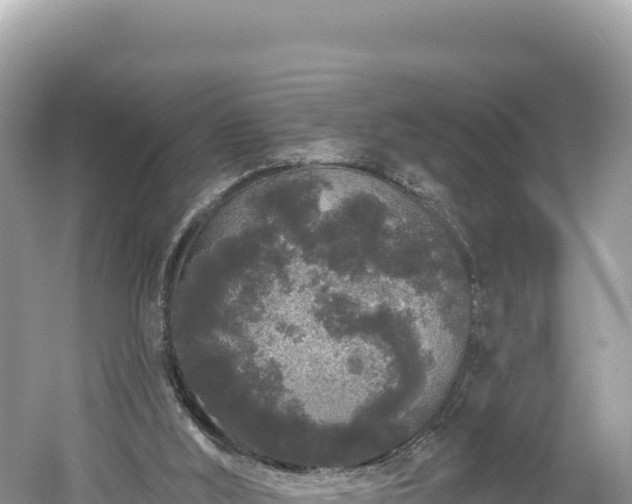 X0000061730012200512050946